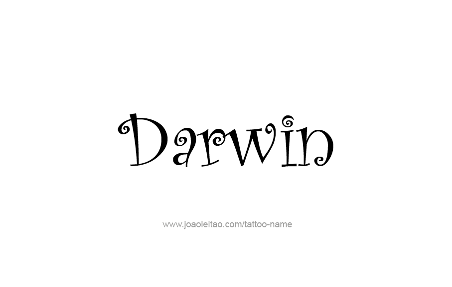 Tattoo Design  Name Darwin   