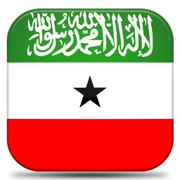 Flag of Somaliland