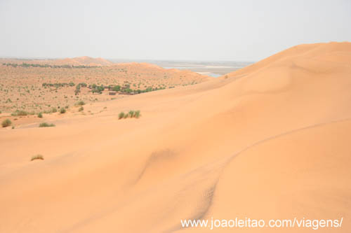 Dune Rose Gao Mali