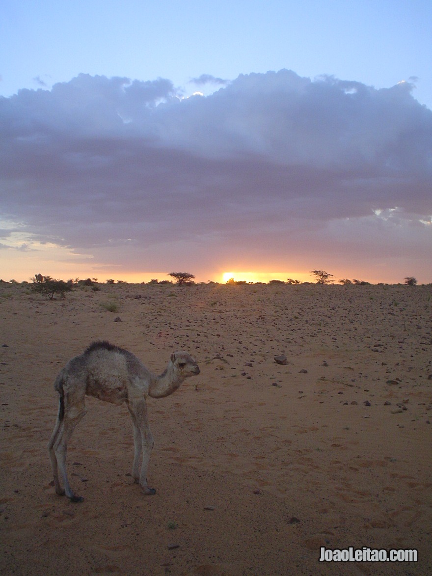 Viagem Carro Mauritania (16)