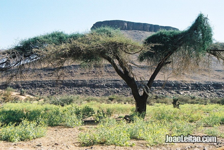 Viagem Carro Mauritania (33)