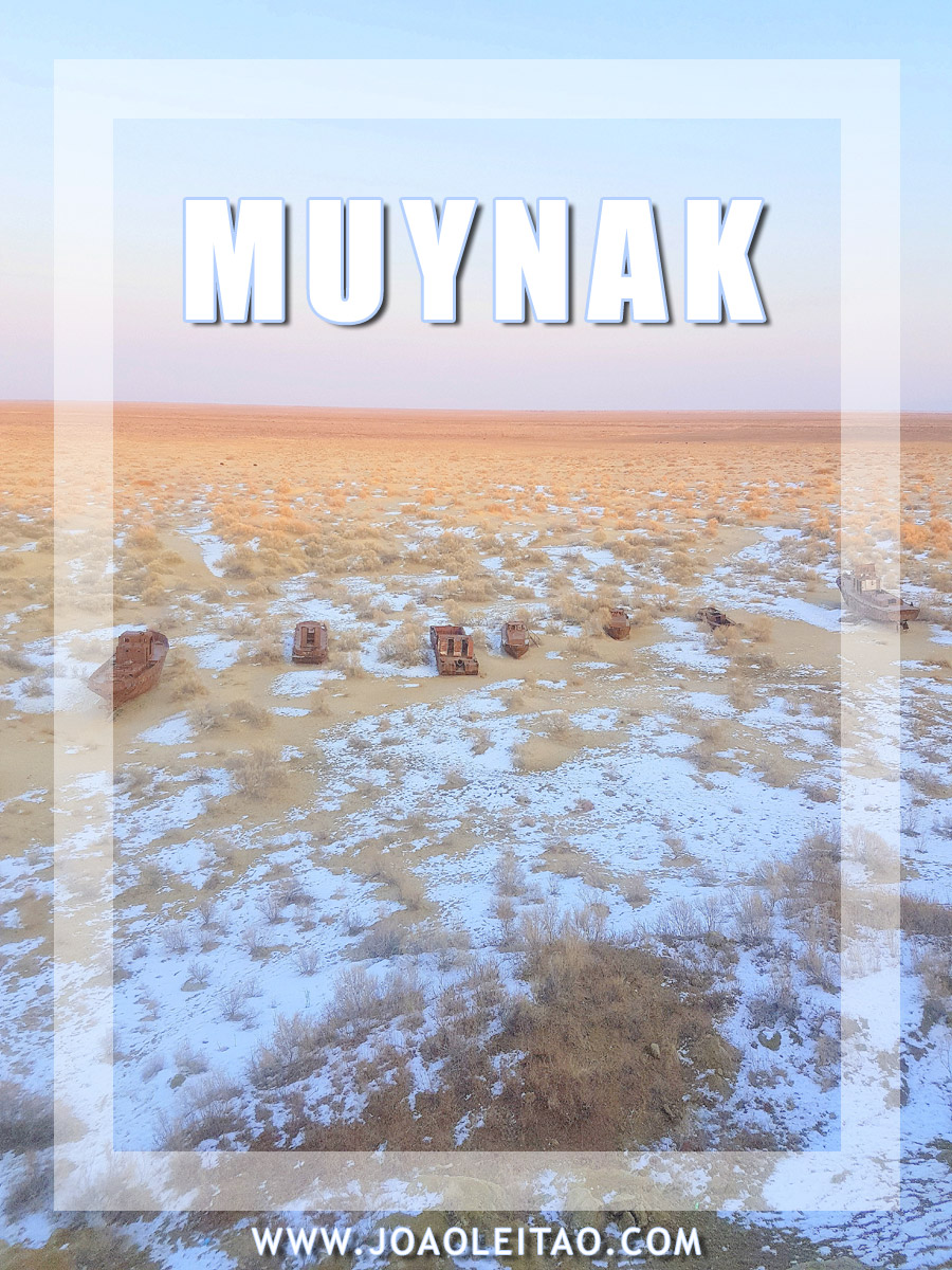 VISITAR MUYNAK