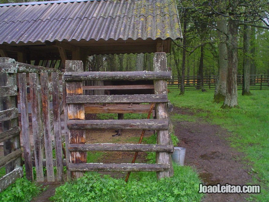 Fotografia do Parque Nacional Bialowieza