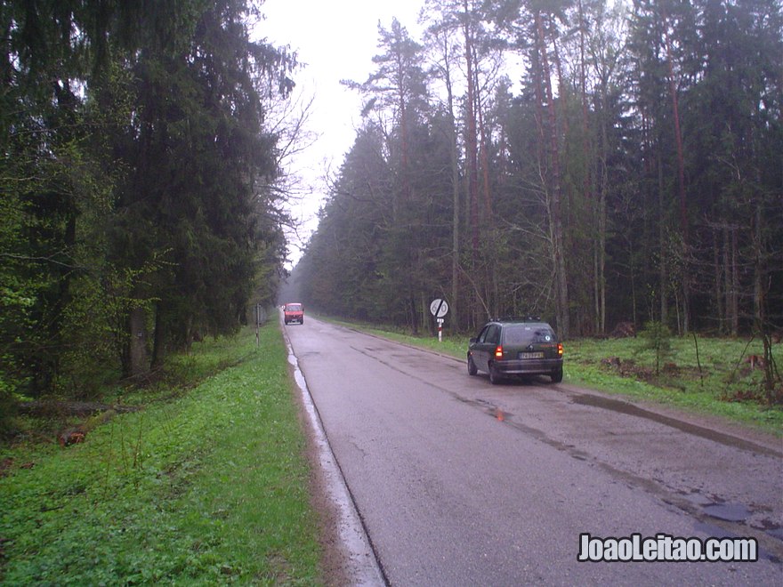 Fotografia do Parque Nacional Bialowieza
