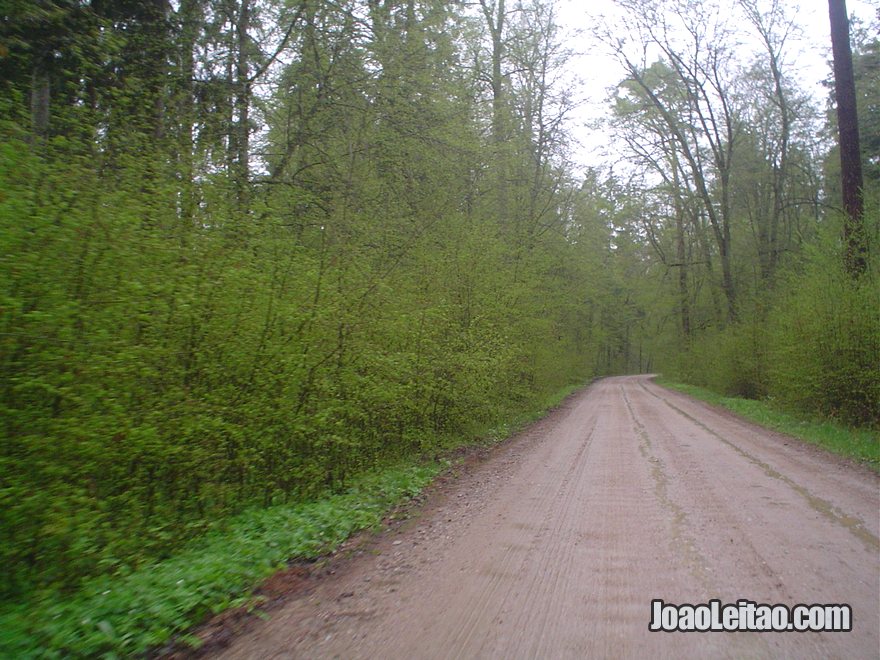 Fotografia do Parque Nacional Bialowieza