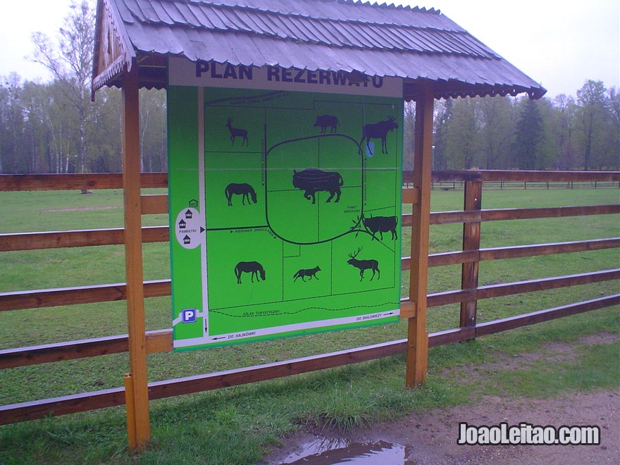 Fotografia do Parque Nacional Bialowieza