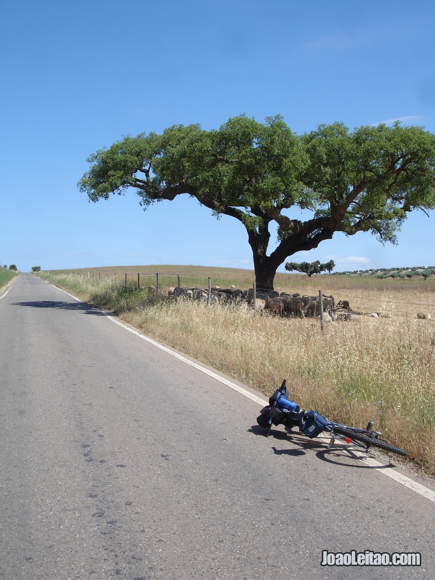 Viagem de bicicleta no Alentejo