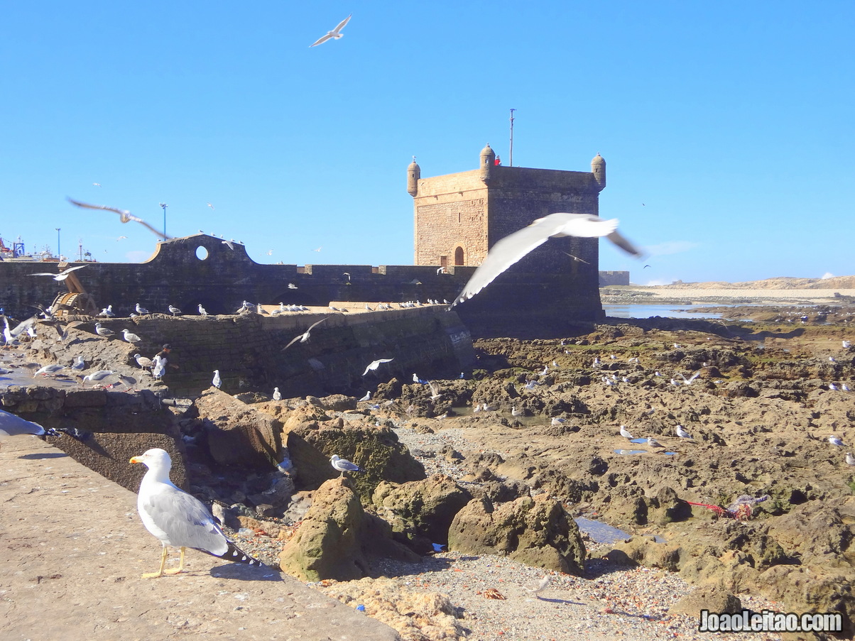 ROTEIRO ESSAOUIRA