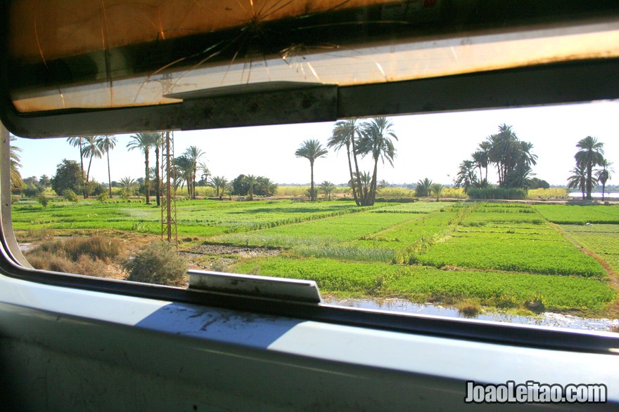 Paisagem da viagem de comboio Aswan até Luxor