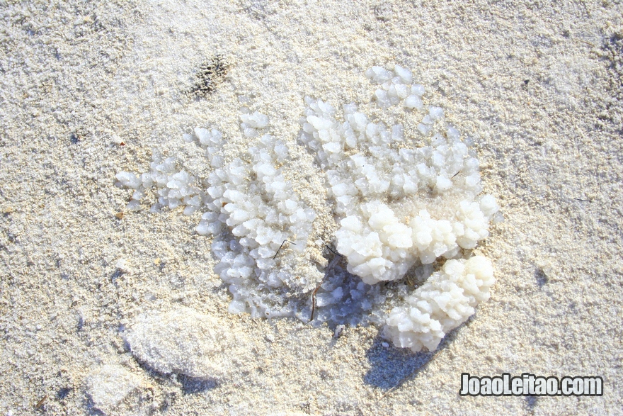 Sal seco no chão da praia do Mar Morto em Israel