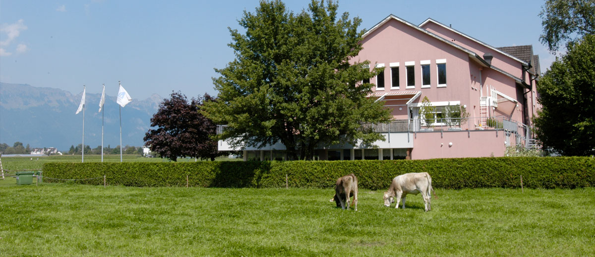 Hostel Liechtenstein