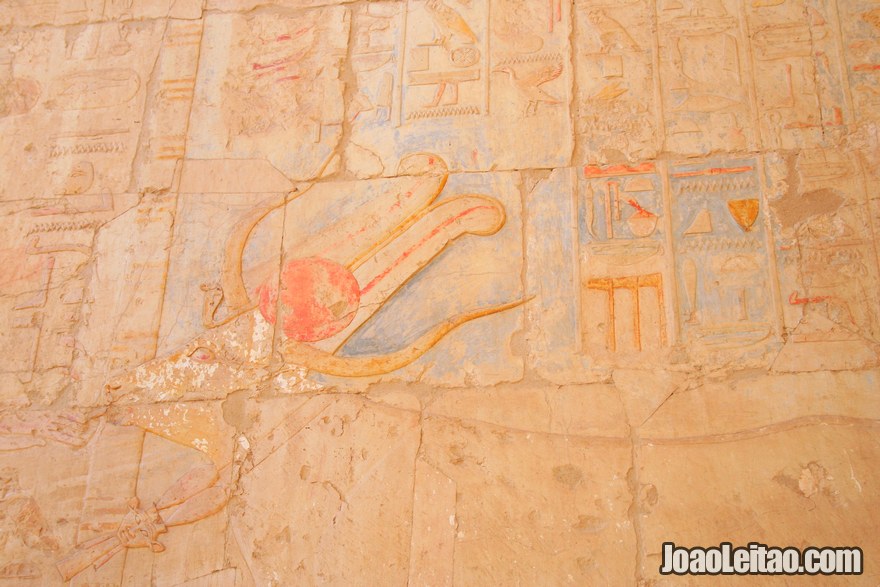 Figuras e hieróglifos na parede do Templo de Hatshepsut 