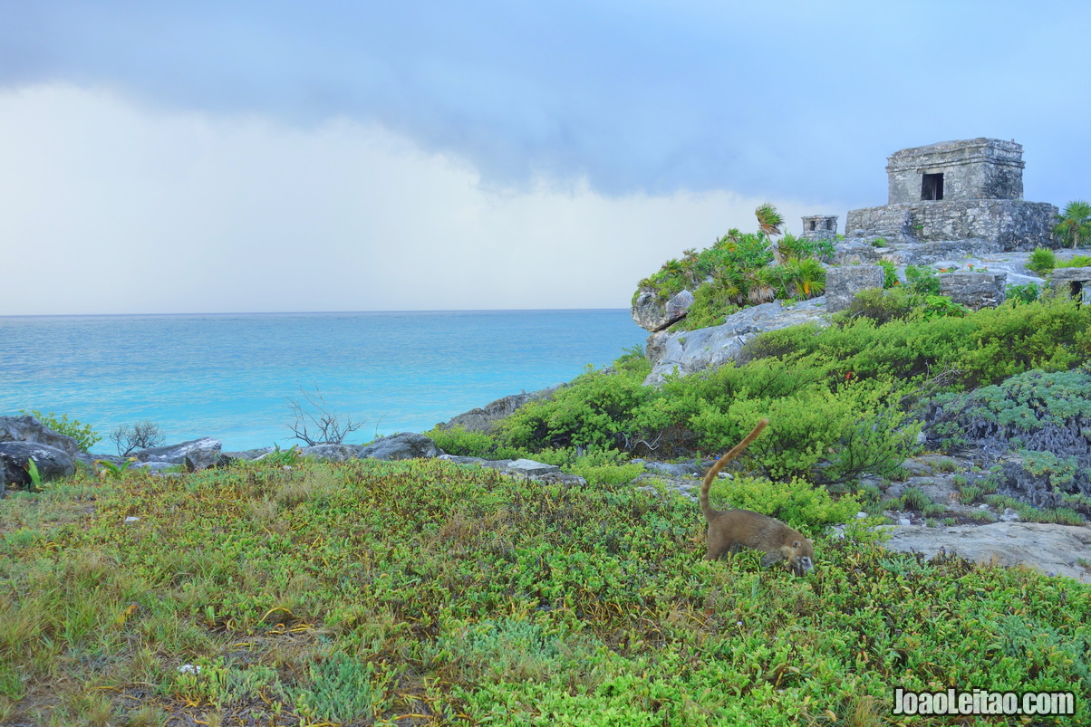 Visitar Tulum México