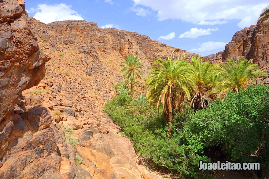 Oásis de Adad na região de Ouarzazate