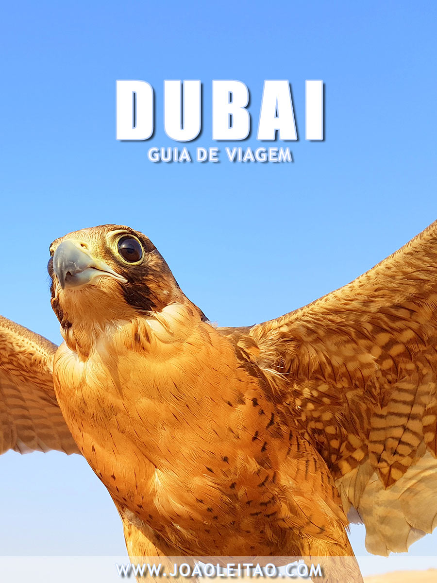 Visitar Dubai, Guia de Viagem - Dicas, Roteiros, Mapas, Fotos