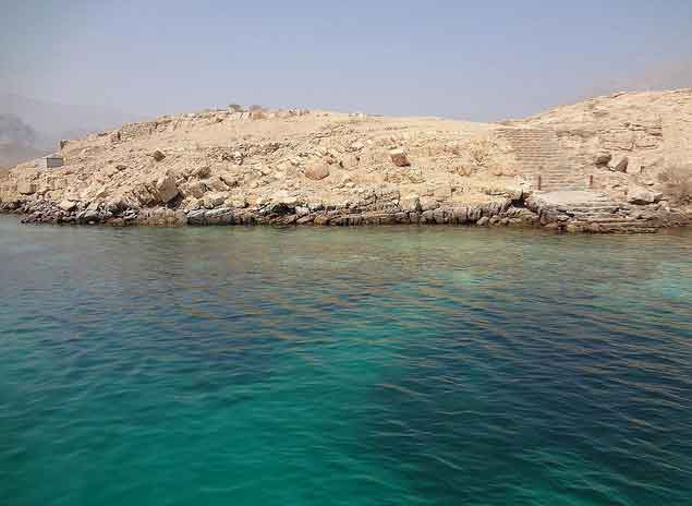 Golfinhos na costa de Khasab em Ras Musandam, Omã