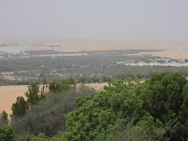 Fotografias do Oásis de Liwa, Abu Dhabi, EAU 25