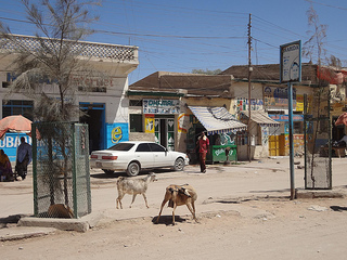 Vídeo do centro de Hargeisa, Somalilândia 12