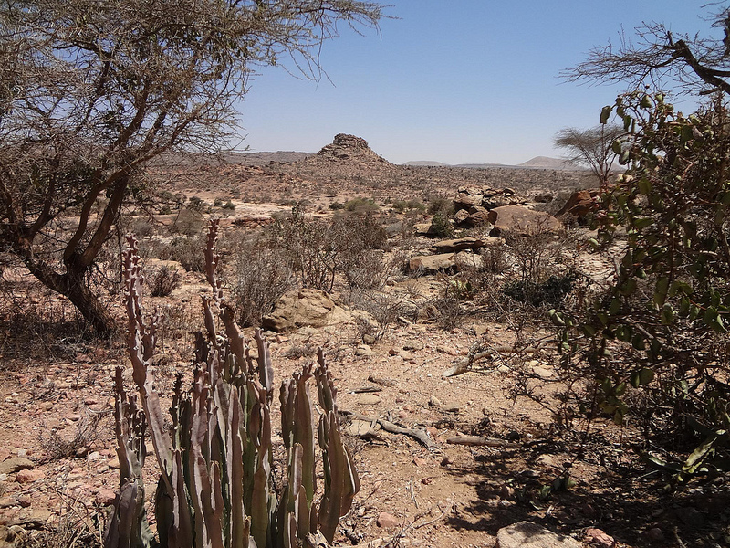 5 coisas para fazer na Somalilândia 40