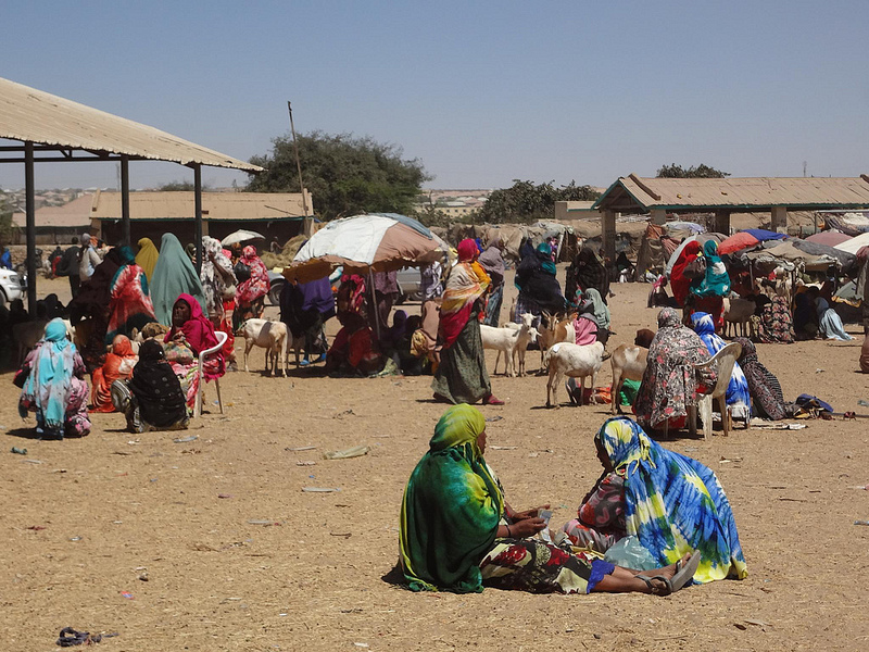 Fotografias mercado de animais, Hargeisa Somalilândia 16