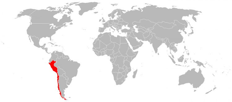 Volta ao Mundo – 8º mês, Janeiro