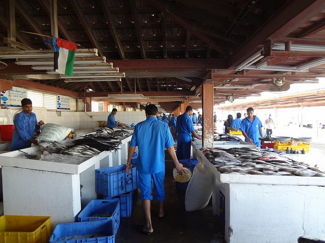 Mercado do Peixe de Sharjah Emirados Árabes Unidos 56