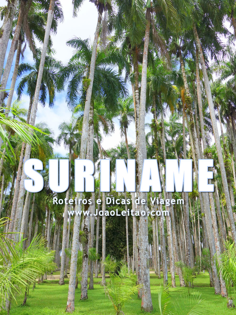 Visitar Suriname – Roteiros e Dicas de Viagem