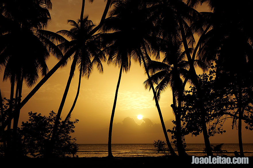 Praia de Pigeon Point Beach, Visitar Trinidad e Tobago