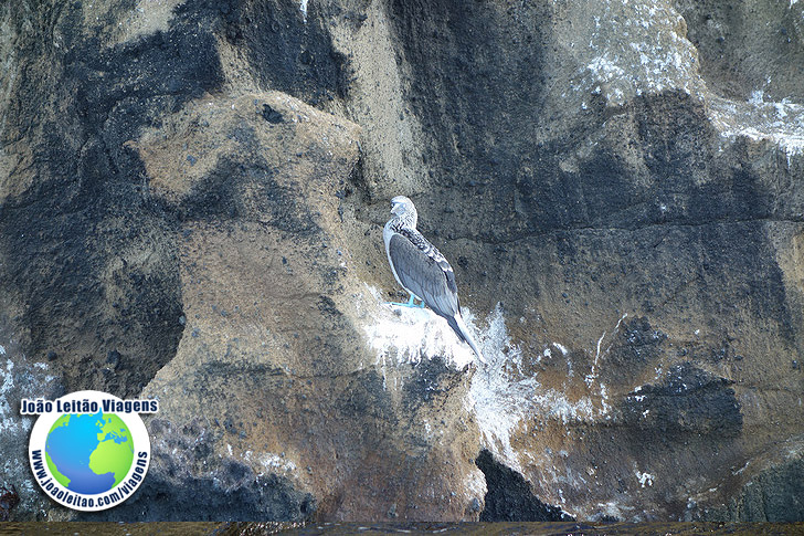 Ilha Bartolome Galapagos