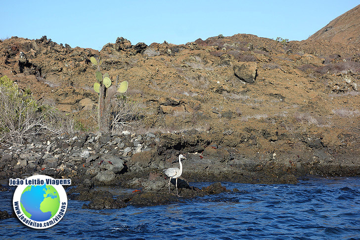 Ilha Bartolome Galapagos