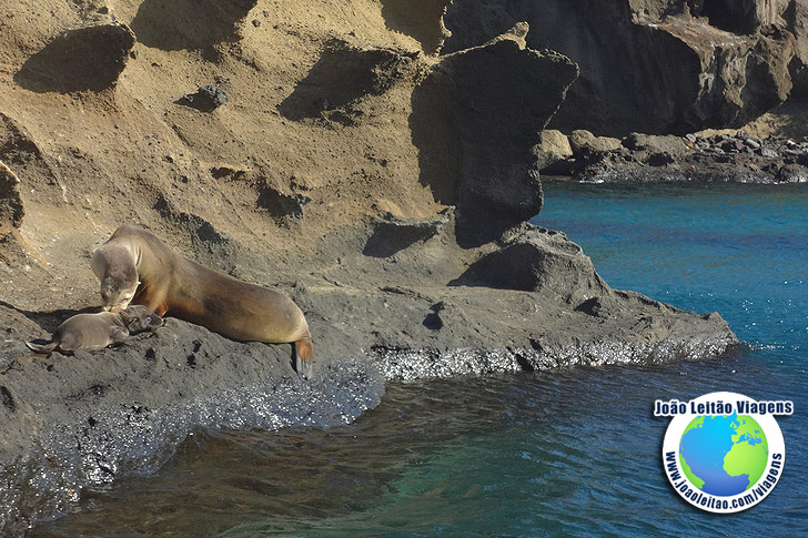 Ilha Bartolome Galapagos