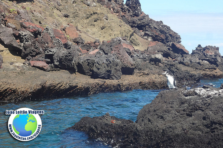 Ilha Bartolome Galapagos