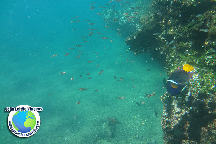 Snorkeling Ilha Bartolome Galapagos