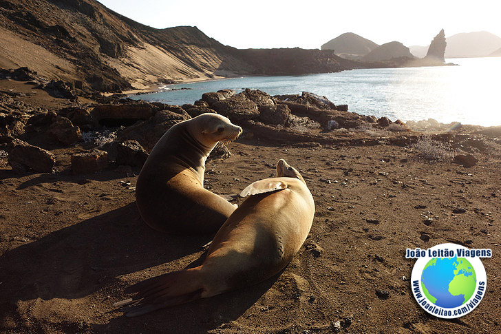 Viagem Ilha de Bartolome Galapagos