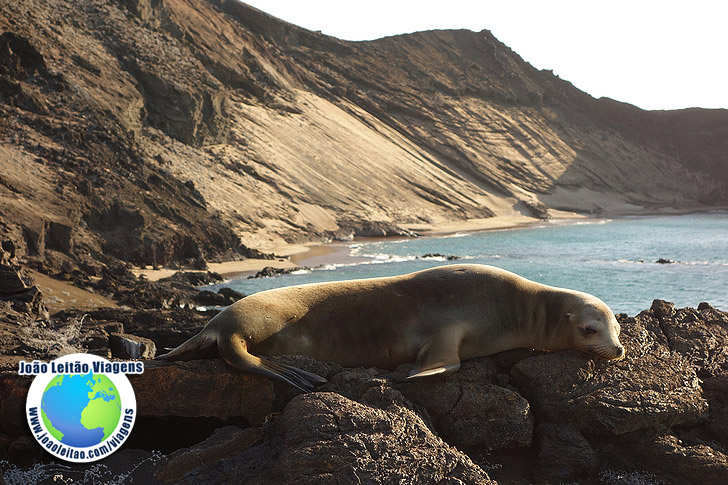 Viagem Ilha de Bartolome Galapagos