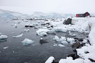 Goudier Island