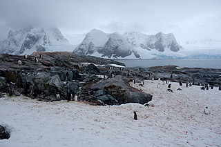 Petermann Island