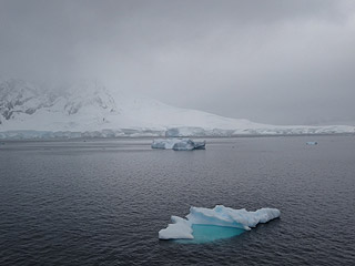 Wilhelmina Bay