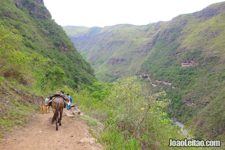 Alva Peru