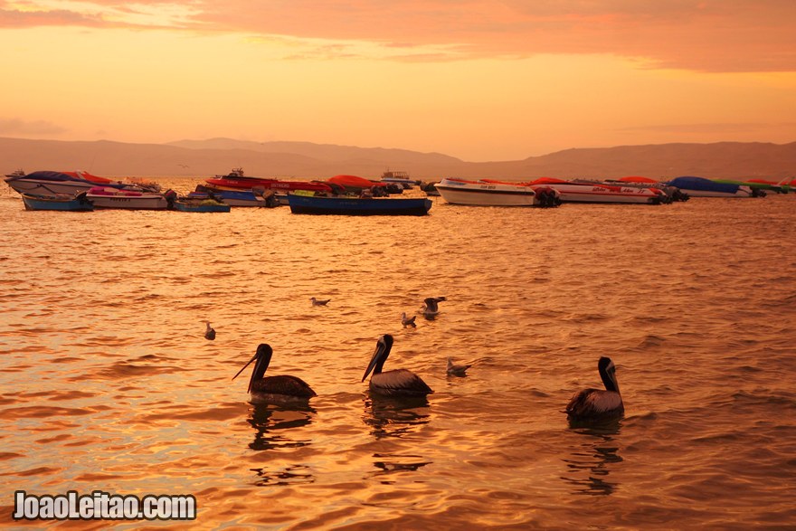 Paracas Peru