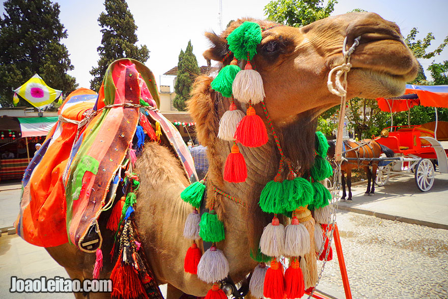 Centro da cidade de Shiraz