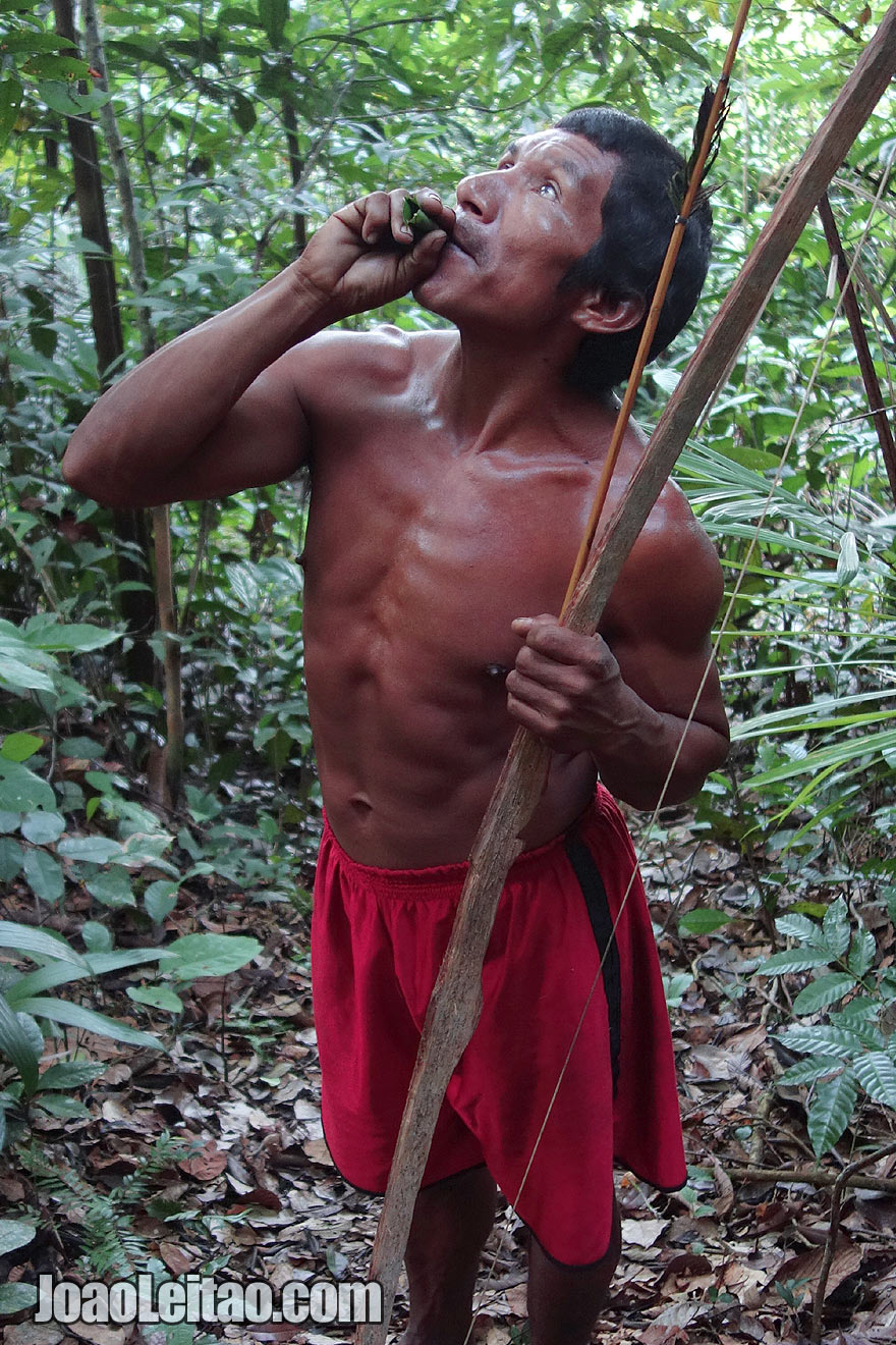 Homem indigena na selva do Amazonas