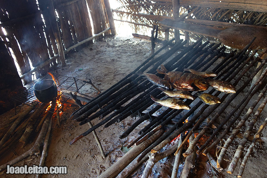 Preparando peixe grelhado no lume