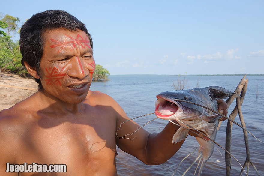 Pesca do peixe Pirarara no Amazonas