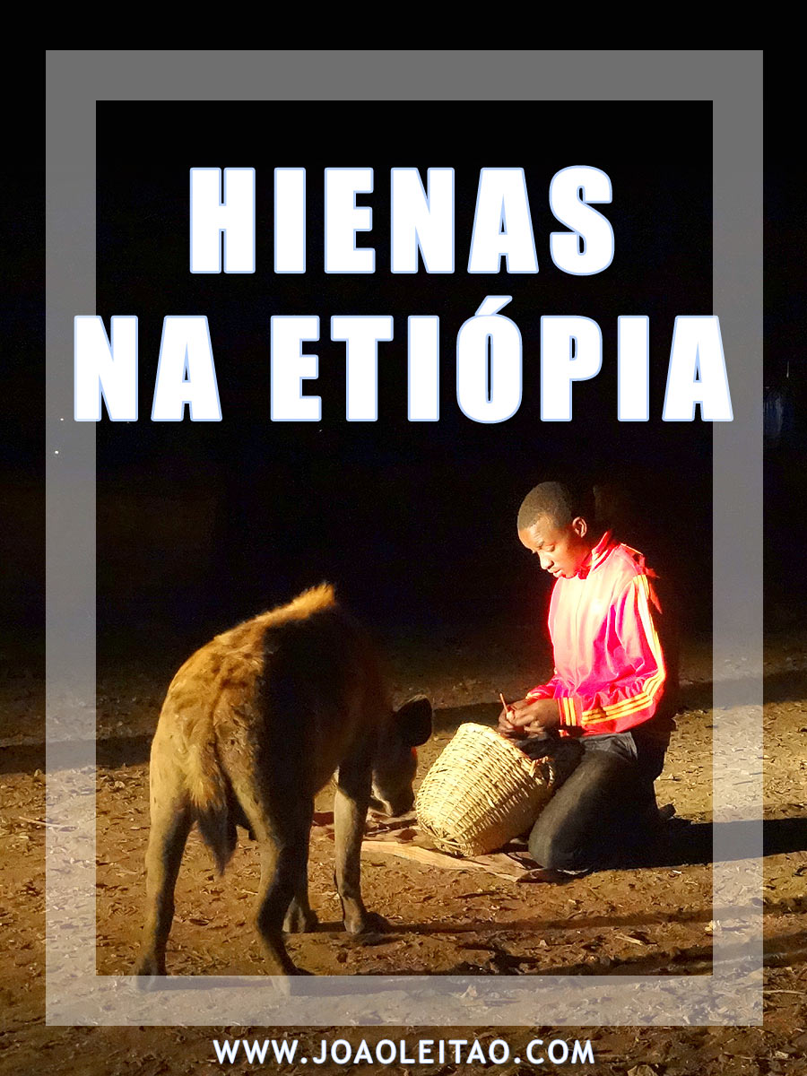 ALIMENTAR HIENAS ETIÓPIA