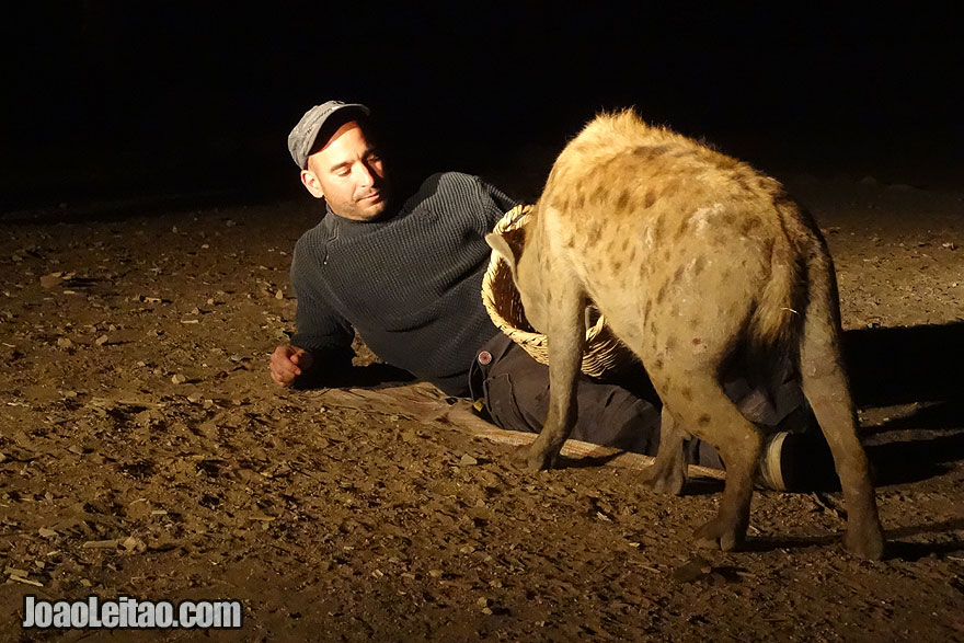 A dar de comer às hienas na Etiópia