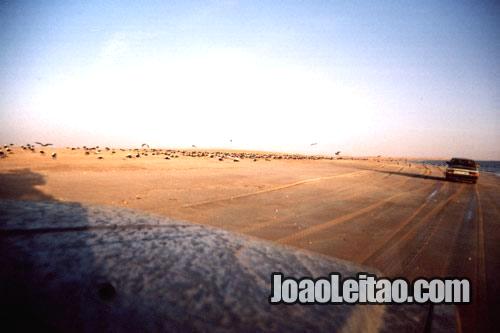 Auto-estrada da Praia na Mauritânia