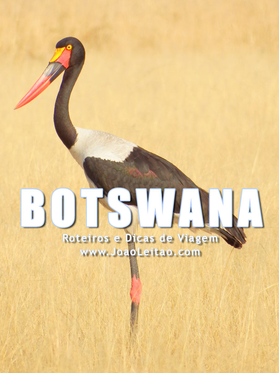Visitar Botswana – Roteiros e Dicas de Viagem