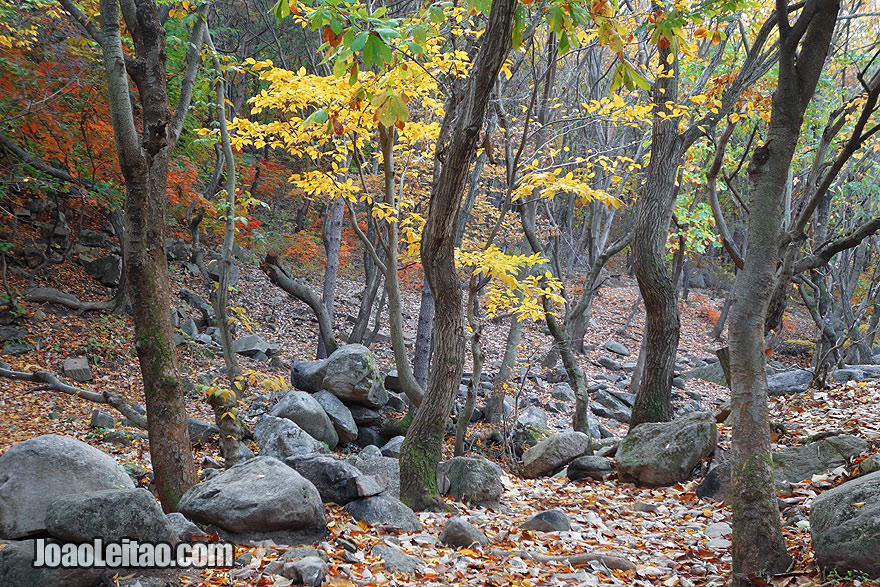 Parque Natural do Monte Kuwol