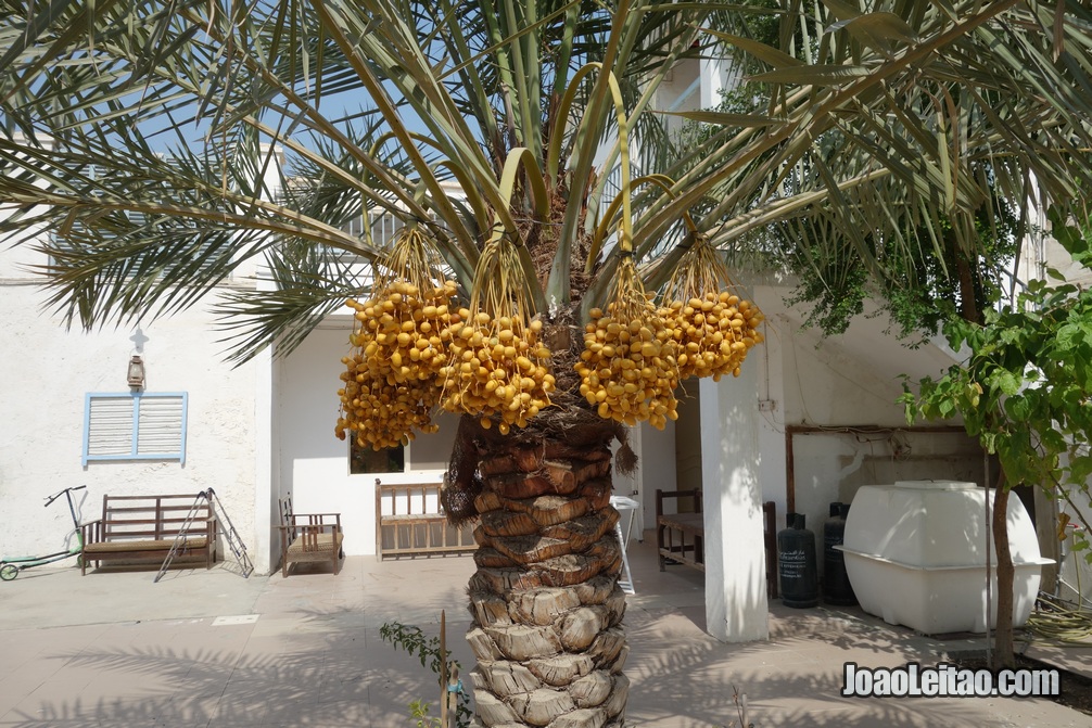 Pátio de uma casa particular no bairro histórico da ilha de Murharraq no Barém